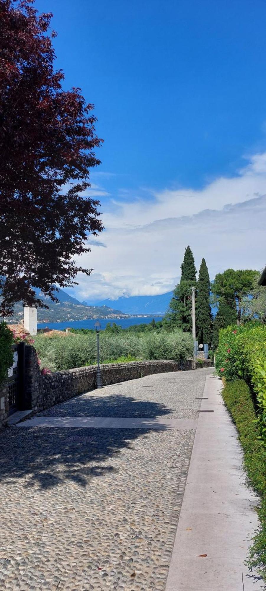 Antica Dimora Apartment San Felice del Benaco Luaran gambar